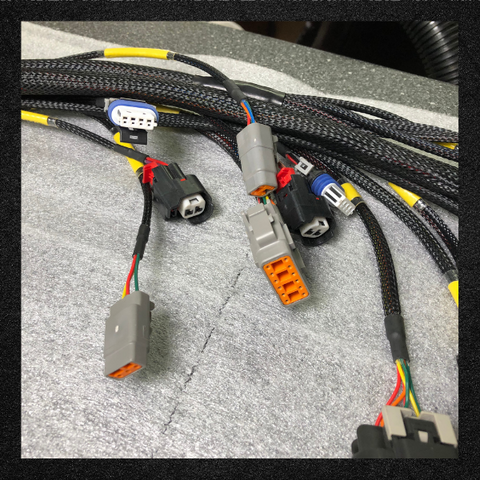 Custom Emtron-Borowski Race Engines LS Wiring Harness