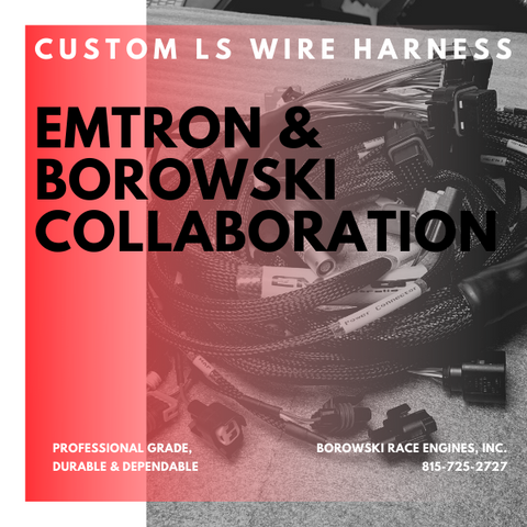 Custom Emtron-Borowski Race Engines LS Wiring Harness