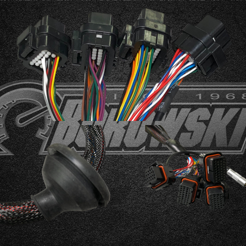 Custom Emtron-Borowski Race Engines LS Wiring Harness