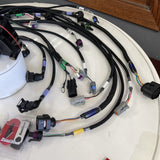 FuelTech ECUs and Pro Wiring Harnesses